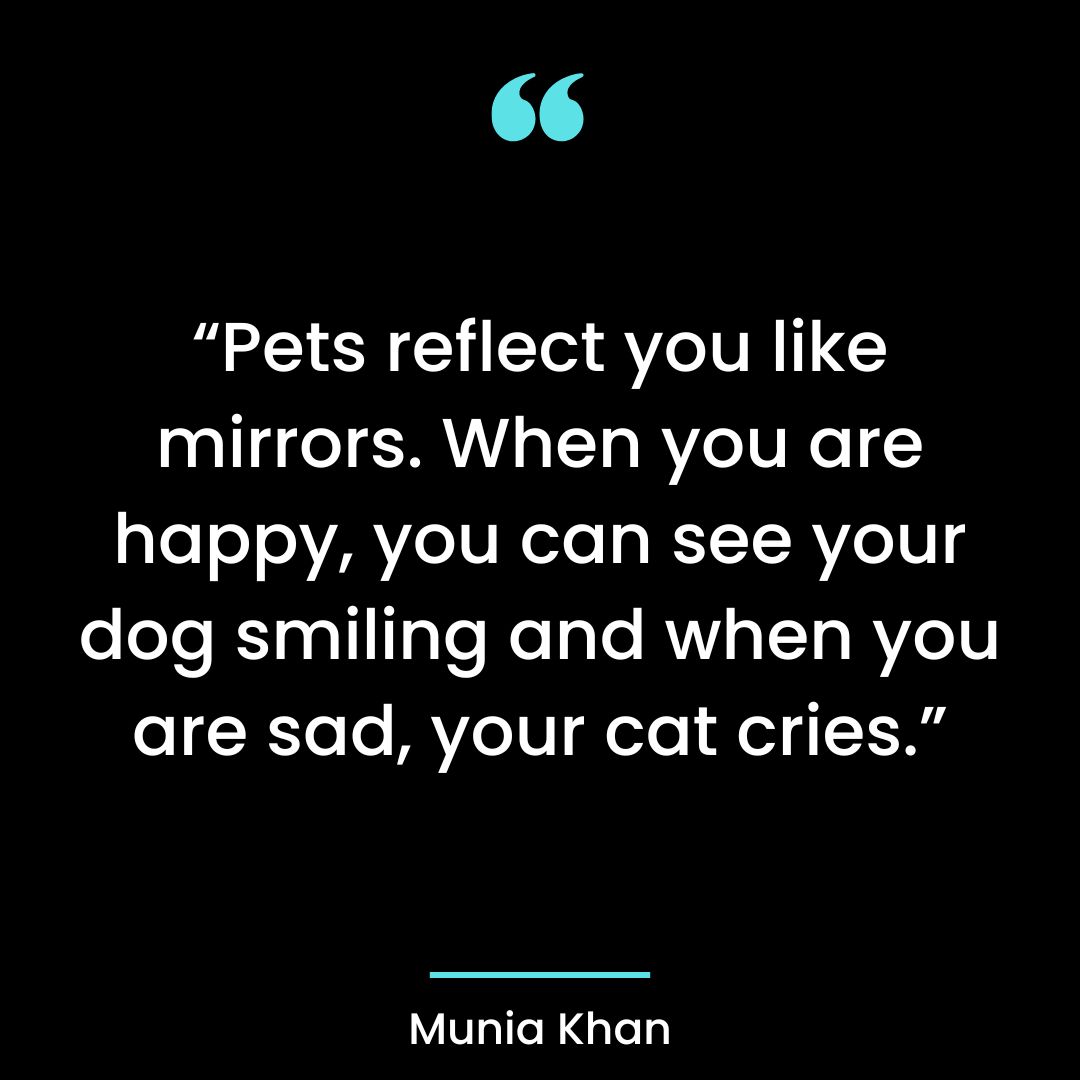 “Pets reflect you like mirrors. When you are happy, you can see your dog smiling