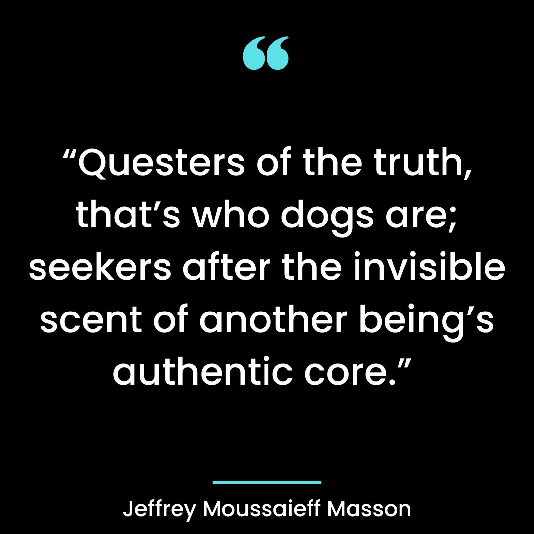 “Questers of the truth, that’s who dogs are; seekers after the invisible scent of another