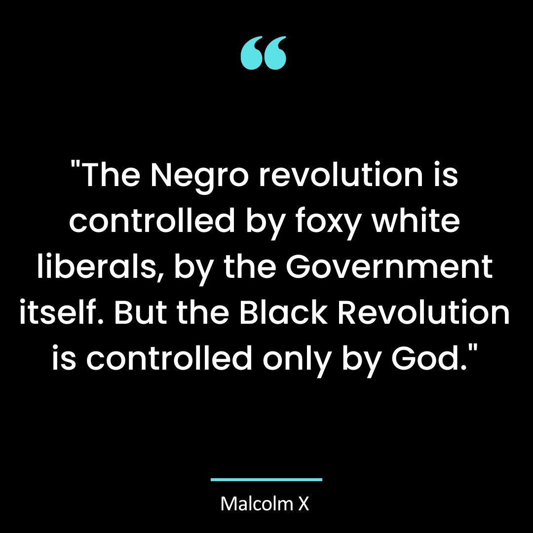 “The Negro revolution is controlled by foxy white liberals, by the Government itself.