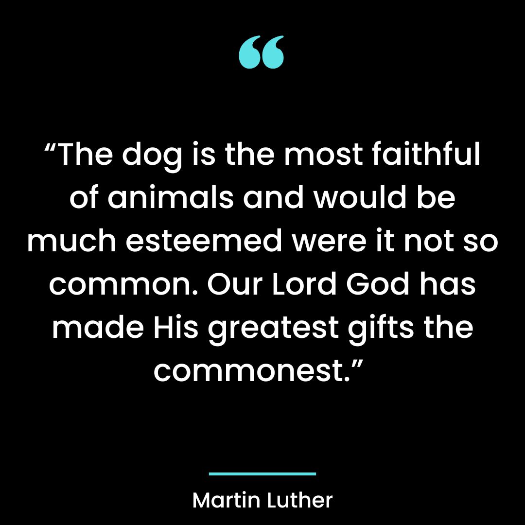 “The dog is the most faithful of animals and would be much esteemed were it not so