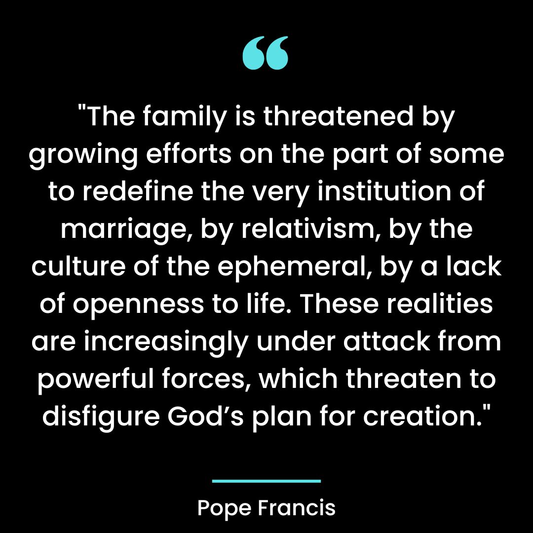 “The family is threatened by growing efforts on the part of some to redefine the very institution