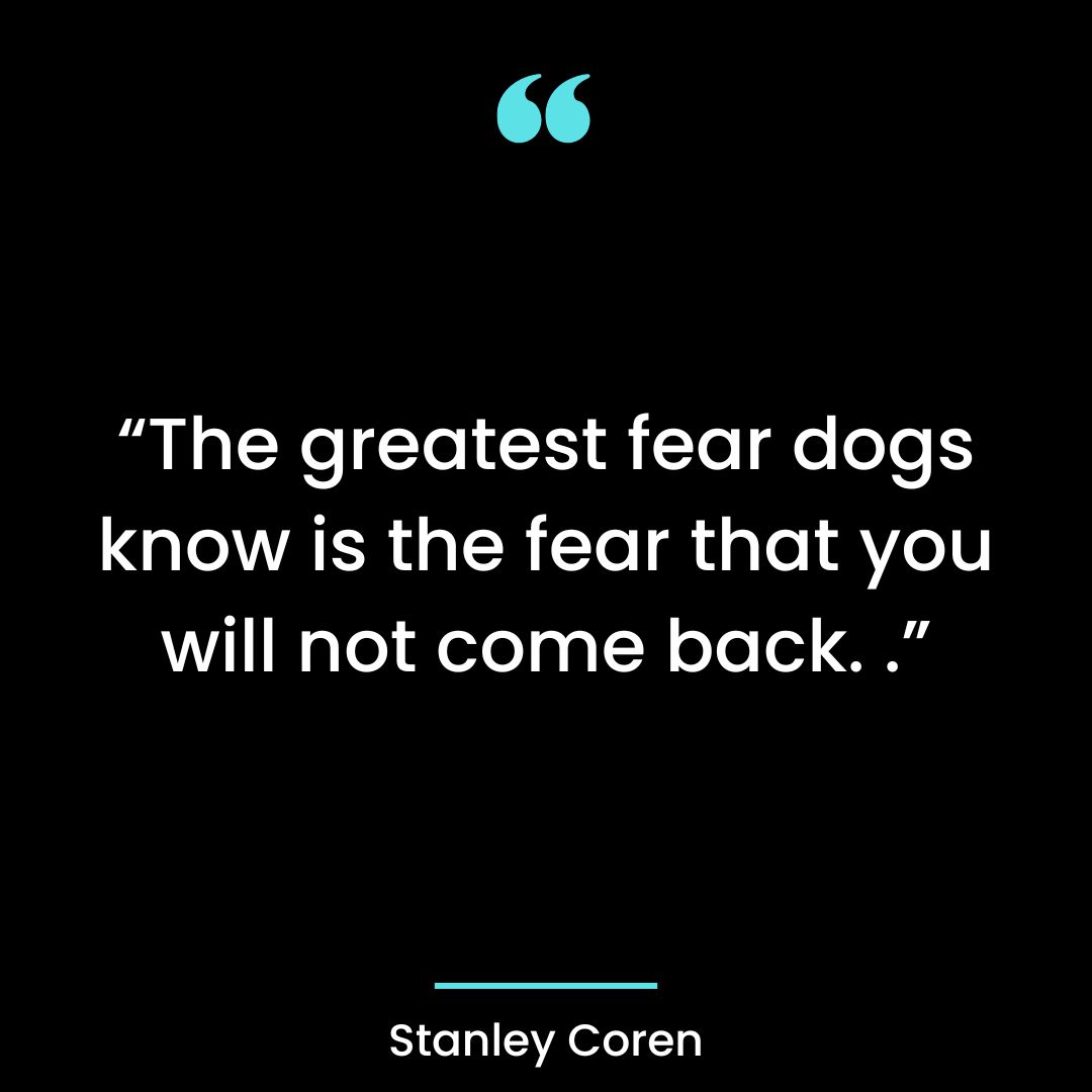 The greatest fear dogs know is the fear that you will not come back.