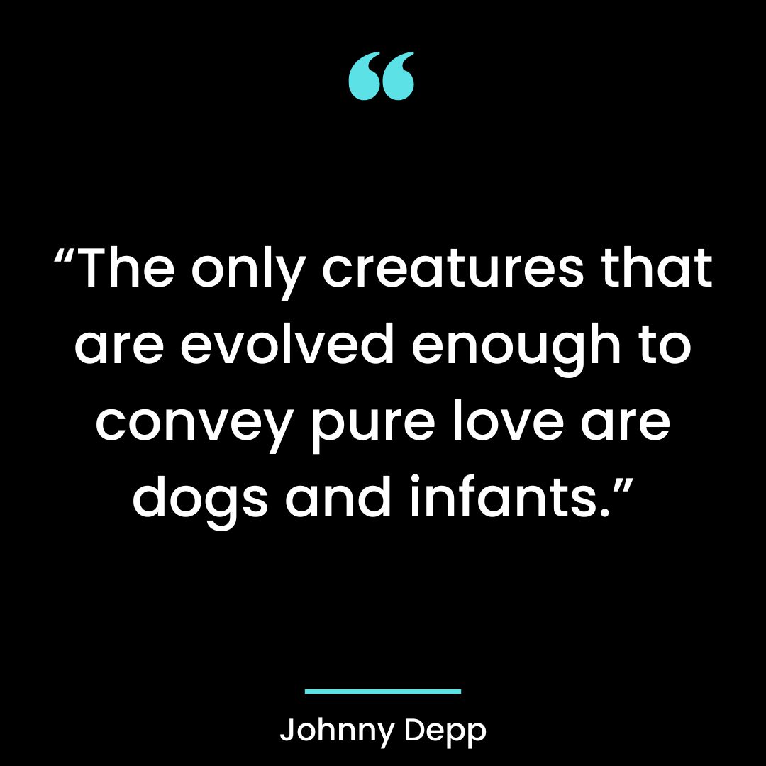 “The only creatures that are evolved enough to convey pure love are dogs and infants.”