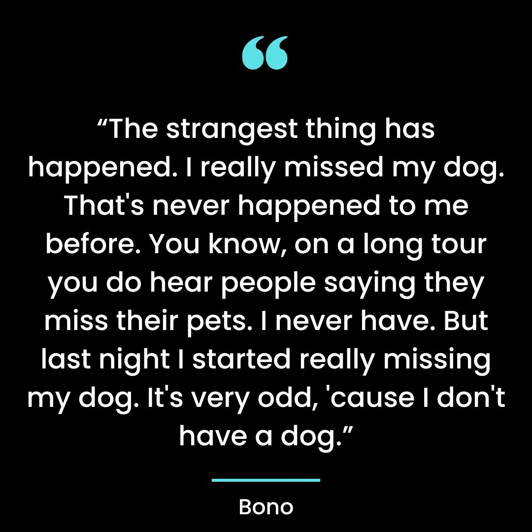 “The strangest thing has happened. I really missed my dog. That’s never happened