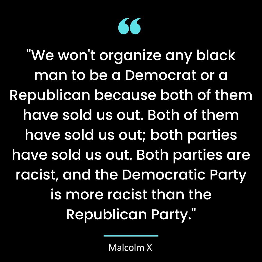 “We won’t organize any black man to be a Democrat or a Republican because both