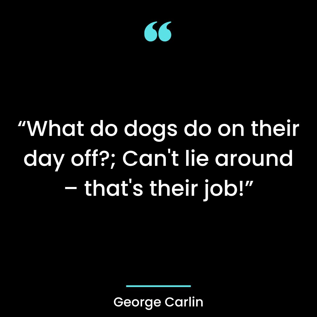 “What do dogs do on their day off?; Can’t lie around – that’s their job!”