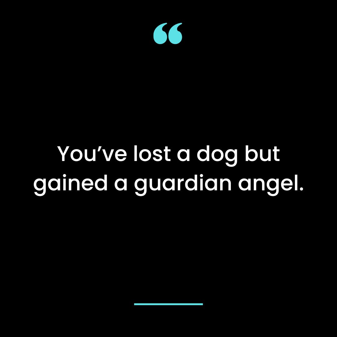 You’ve lost a dog but gained a guardian angel